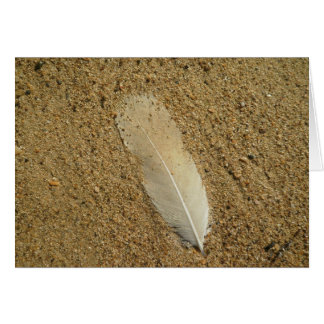Plumes sur le sable