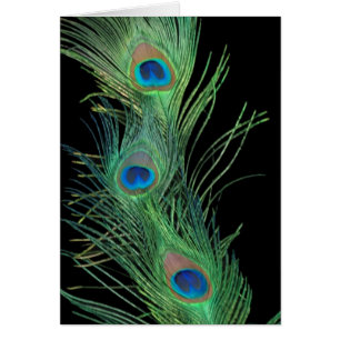 Plumes vertes avec noir