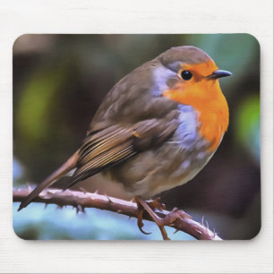 Plump Robin Perched On A Branch Mouse Pad
