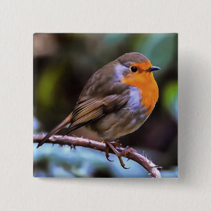 Plump Robin Perched On A Branch Wildlife Art 2 Inch Square Button