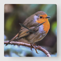 Plump Robin Perched On A Branch Wildlife Art