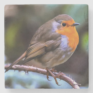 Plump Robin Perched On A Branch Wildlife Art Stone Coaster