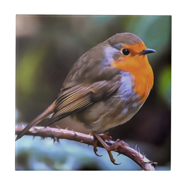 Plump Robin Perched On A Branch Wildlife Art Tile (Front)
