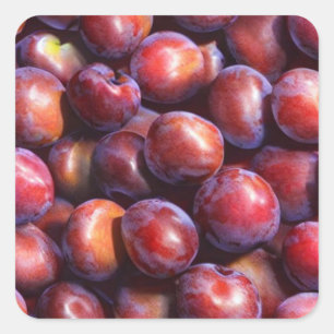 Plums Square Sticker