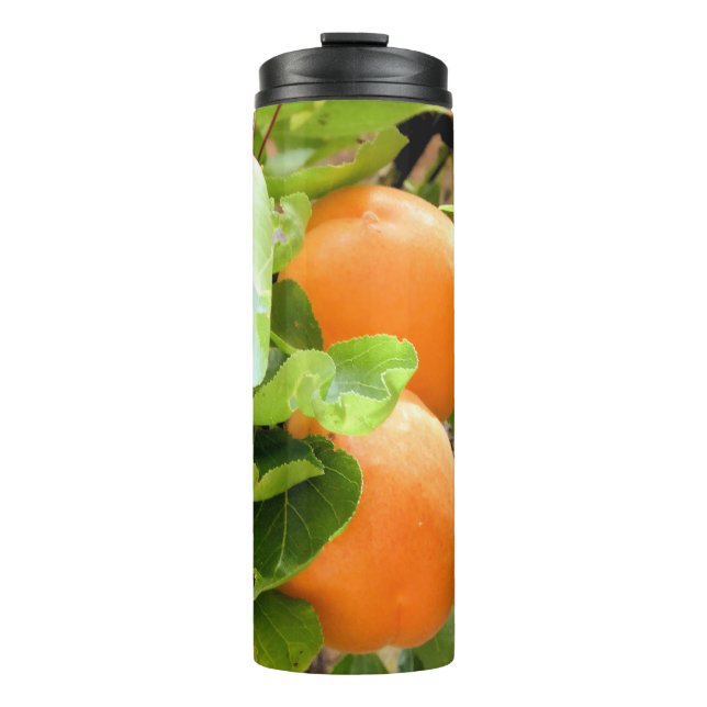 PLUMS THERMAL TUMBLER (Front)