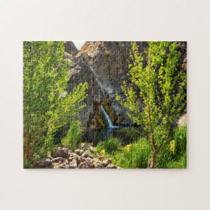Plus de 250 pièces Paradise Falls Waterfall Puzzle
