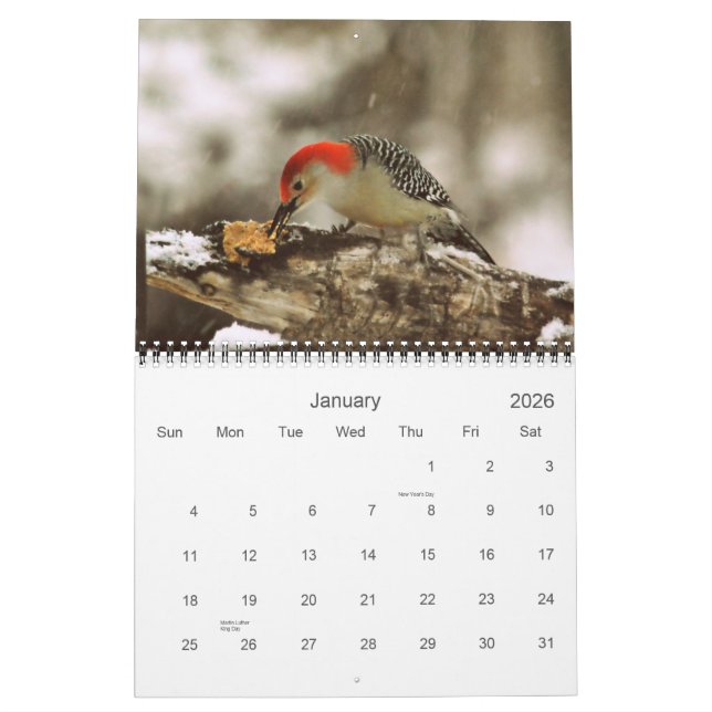 Plus d'oiseaux dans votre calendrier 2013 de (Jan 2026)