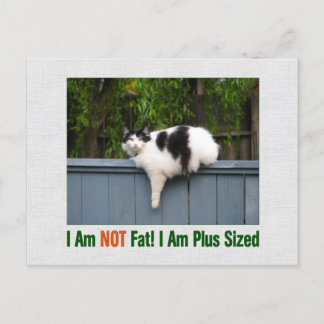 Plus Sized Kitty Postcard