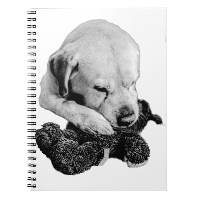 Plush & Paws Notebook (Front)