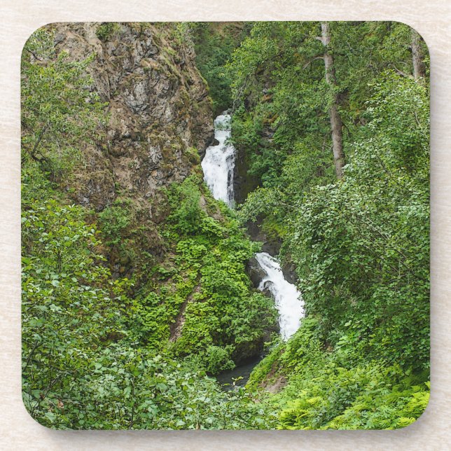 Plush Thunderbird Painterly Coaster (Front)