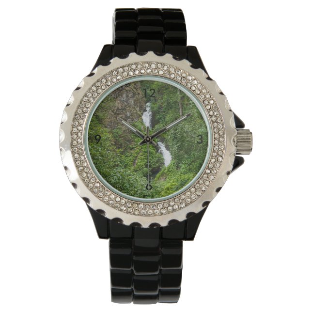 Plush Thunderbird Painterly Watch (Front)