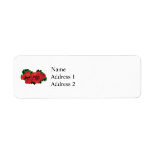 Plusieurs géraniums rouges