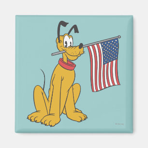 Pluto   Freedom Magnet