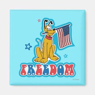 Pluto   Freedom with Flag Magnet