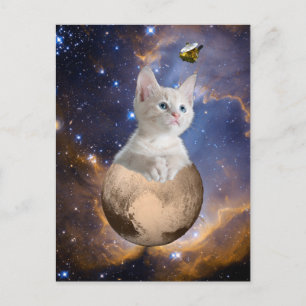 Pluto, Kitten, and New Horizons, Nebula and Stars Postcard