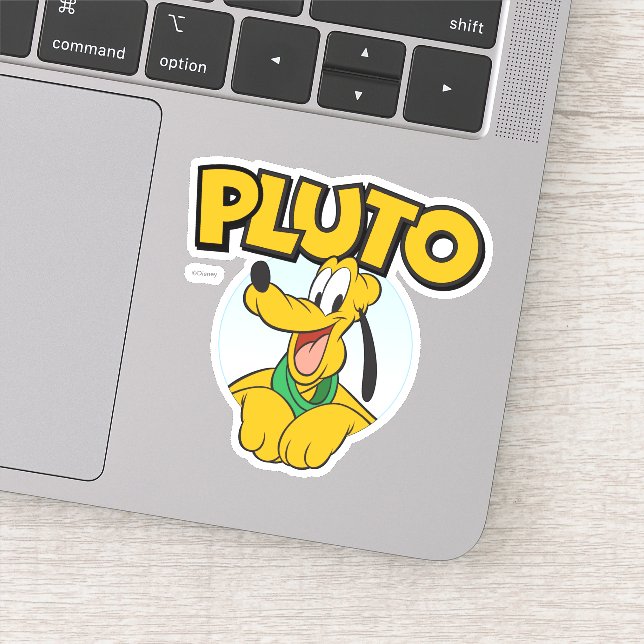 Pluto | Pup with Name (Detail)