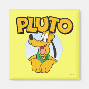 Pluto Pup with Name Magnet