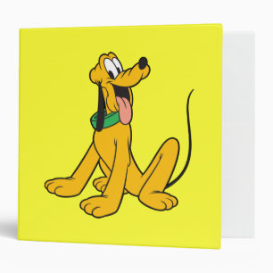 Pluto Sitting Binder