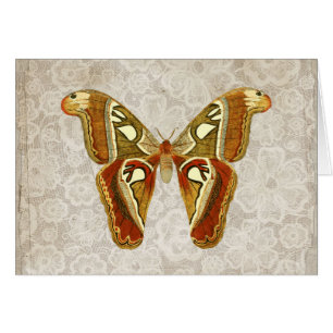 Plutôt Vintage Moth Botanical Greeting Card
