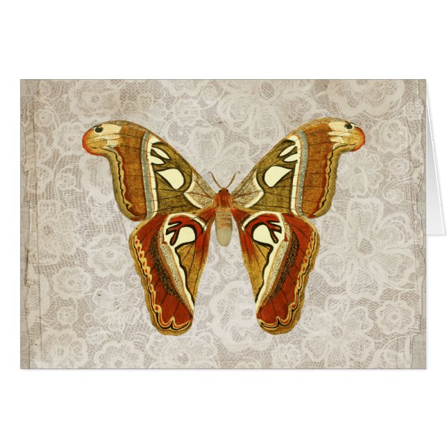 Plutôt Vintage Moth Botanical Greeting Card (Devant horizontal)