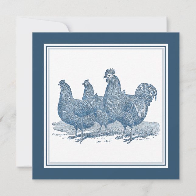 Plymouth Rock Chickens Antique Blue Rooster Hens Invitation (Front)