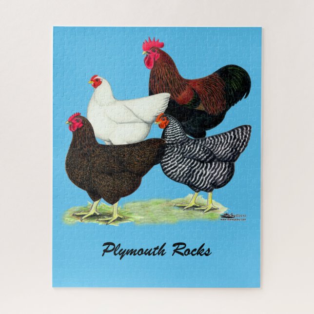 Plymouth Rock Quartet Jigsaw Puzzle (Vertical)