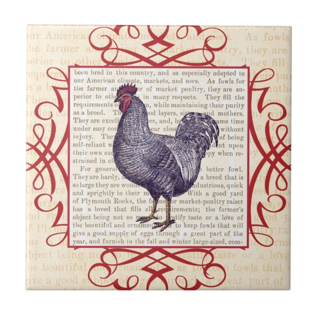 Plymouth Rock Rooster Vintage Poultry Farm Tile (Front)