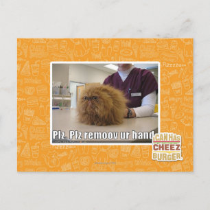 Plz remoov ur hand postcard