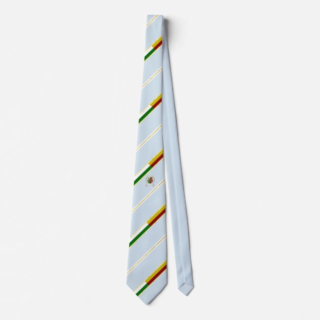 Plzen stripes flag tie (Front)