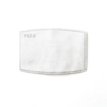 PM 2.5 Face Mask Filters