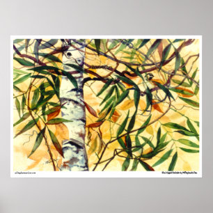 PMACarlson "Black Capped Chickadee" Poster