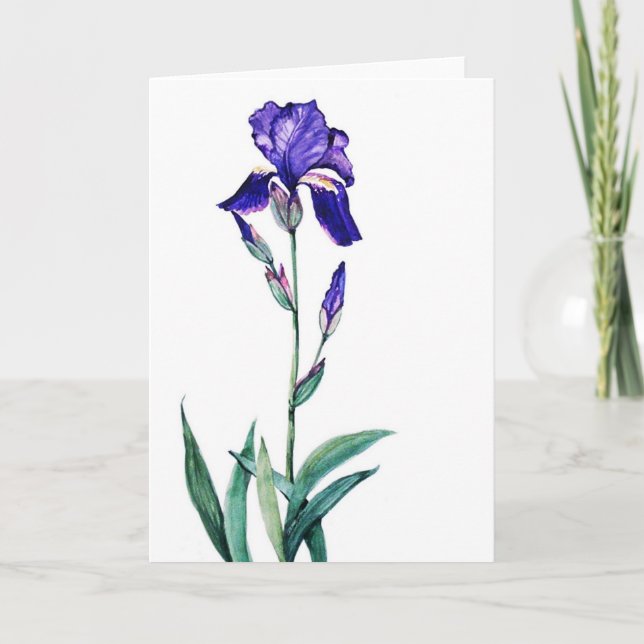 PMACarlson Garden   Iris Card (Front)