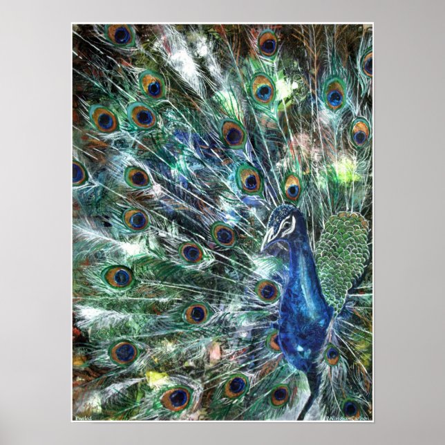 PMACarlson Jewelled Poster (Front)