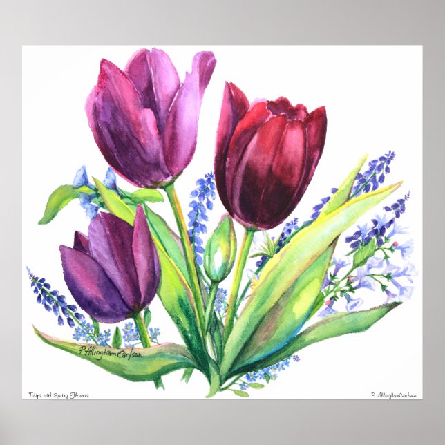 PMACarlson Tulips With Spring Flowers Poster (Front)