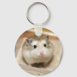 PMT the baby hamster: Stare Keychain