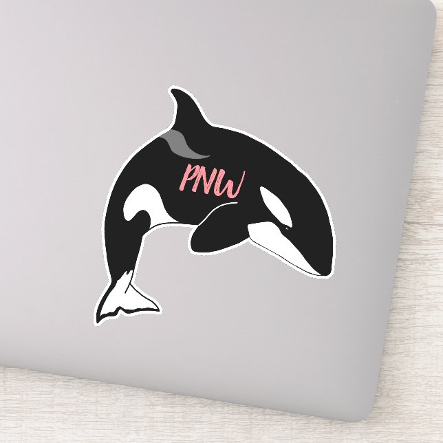 PNW Pacific Northwest Killer Whale Orca  (Detail)