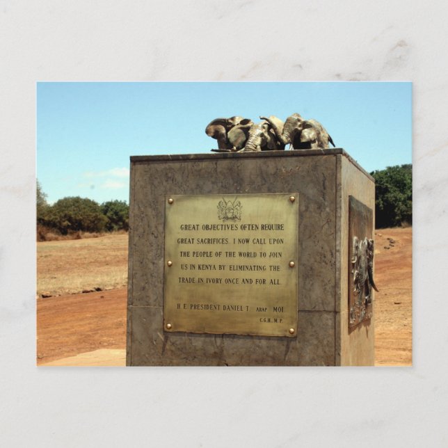 poach end postcard (Front)