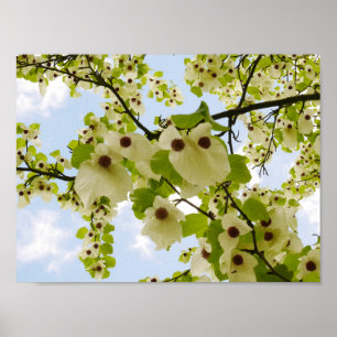 Poche Poche Poche Poster Arbre Blossom