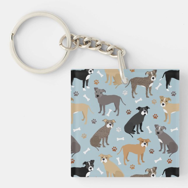 Poches et os Pitbulles (Devant)