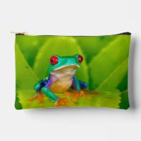 Grenouille aux yeux rouges, Costa Rica