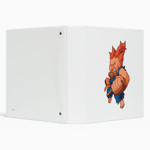 Pocket Fighter Akuma Binder