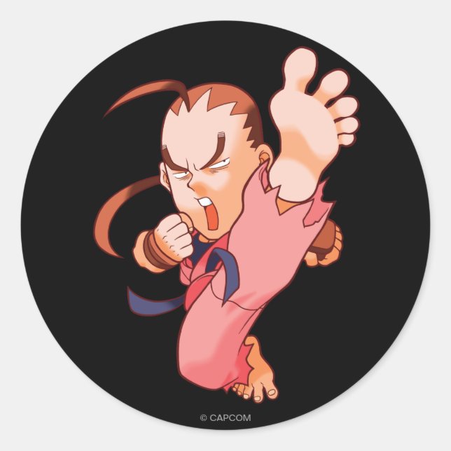 Pocket Fighter Dan 2 Classic Round Sticker (Front)