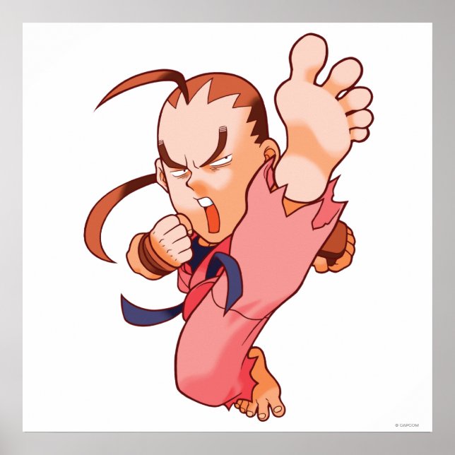 Pocket Fighter Dan 2 Poster (Front)