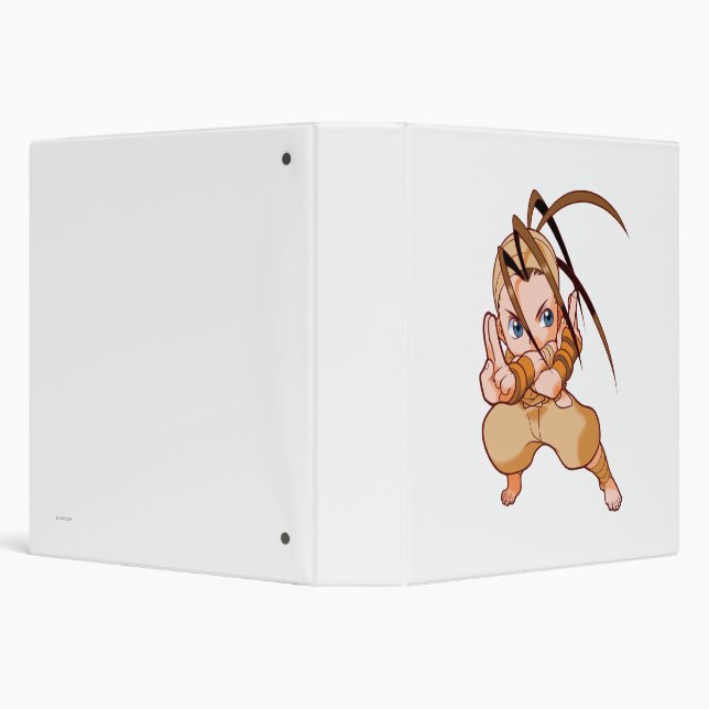 Pocket Fighter Ibuki Binder (Background)