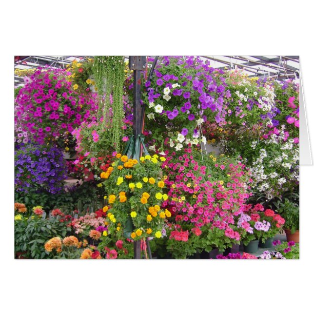 Pocket Full of Flowers (Front Horizontal)