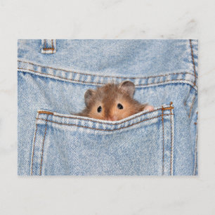Pocket pet postcard