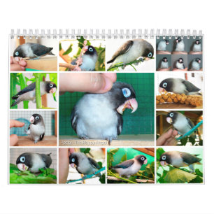 Pocky lovebird sweet memory calendar