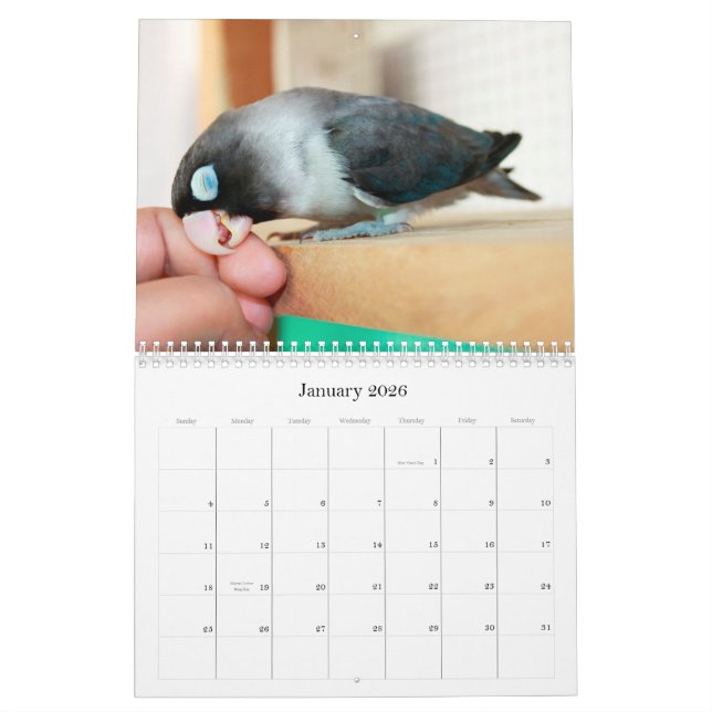 Pocky lovebird sweet memory calendar (Jan 2026)