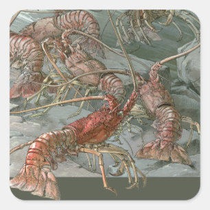 Pod of Lobsters in the Ocean, Vintage Art Nouveau Square Sticker