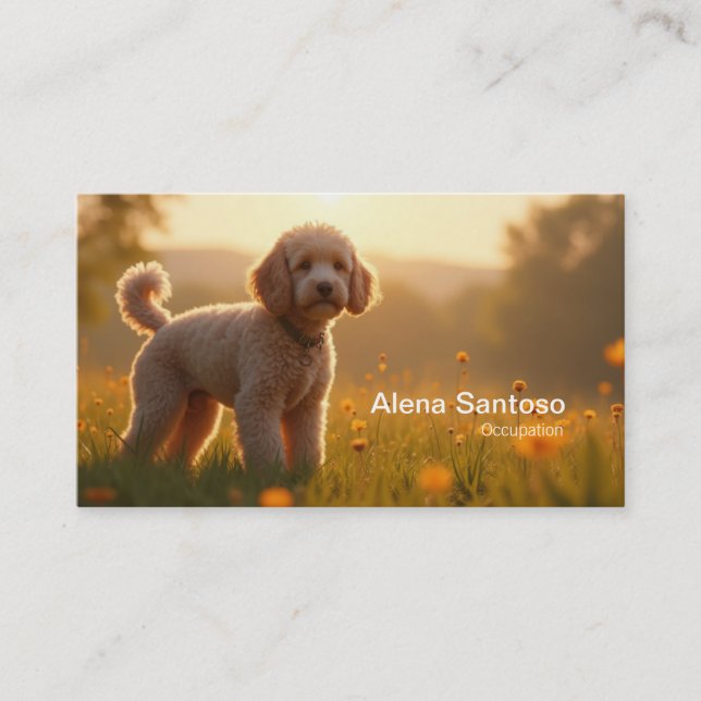 Poddle Dog Business Card (Front)